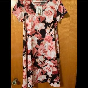 Lularoe Floral Jessie.  Size XS.  NWT.